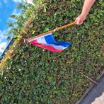 Vlaggenmast met sierknop, Ophalen, Zo goed als nieuw