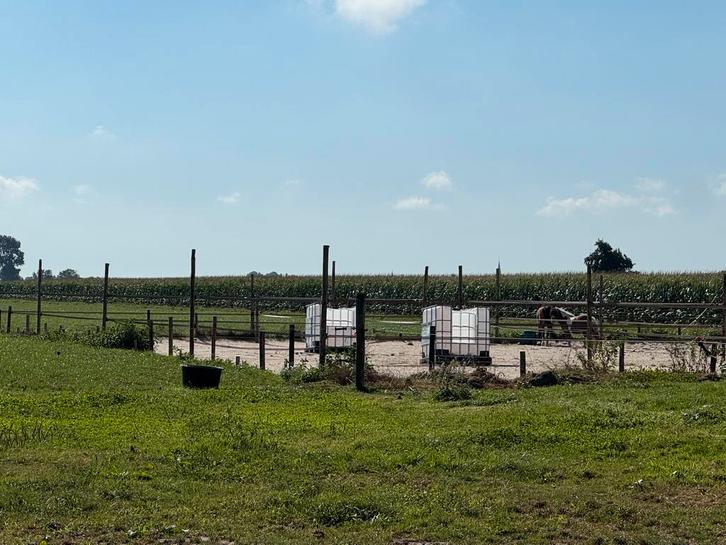 Paardenstalling, pensioenplekje, pensionstal, Dieren en Toebehoren, Stalling en Weidegang, Weidegang