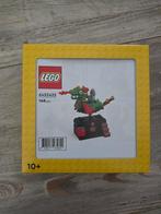 LEGO 6432433 Draak Carrousel - Nieuw in doos!, Ophalen of Verzenden, Nieuw, Complete set, Lego