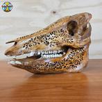 Hand gegraveerd wild zwijn schedel (Balinees) ketupat motief, Ophalen of Verzenden