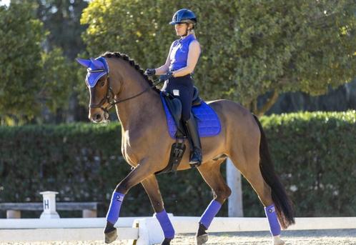 LeMieux Carbon Mesh Bluebell dressuur dekje SALE!, Dieren en Toebehoren, Paarden en Pony's | Dekens en Dekjes, Nieuw, Dekje, Ophalen of Verzenden