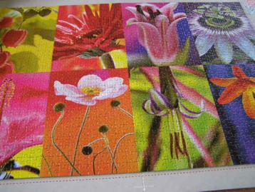 Bloemencollage beschikbaar voor biedingen