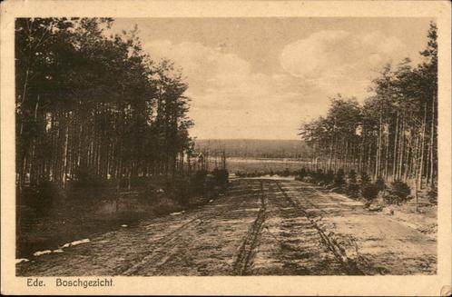Ede Boschgezicht st 1920 uitg Rembrandt, Verzamelen, Ansichtkaarten | Nederland, Gelopen, Gelderland, 1920 tot 1940, Verzenden