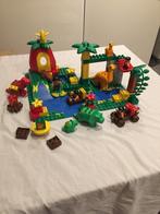Duplo 2604, Grote Dino World, Ophalen of Verzenden, Complete set, Duplo