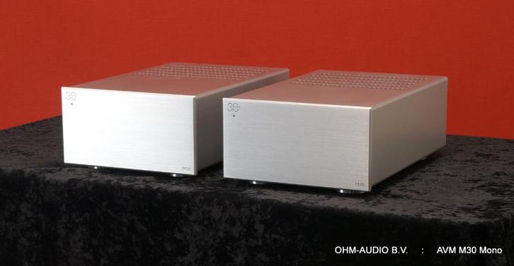 AVM M30, Mono Eindversterkers, Zilver, Nieuwstaat Incl Dozen, Audio, Tv en Foto, Stereo-sets, Zo goed als nieuw, Overige merken