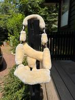 Bont halster maat shet, Dieren en Toebehoren, Ophalen of Verzenden, Nieuw, Overige soorten