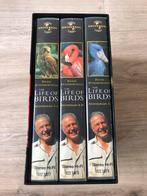 3xVHS David Attenborough : Life of Birds, Cd's en Dvd's, Alle leeftijden, Ophalen, Zo goed als nieuw
