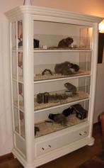 Caviaflat met trapjes, Dieren en Toebehoren, Knaagdieren en Konijnen | Hokken en Kooien, 110 cm of meer, Zo goed als nieuw, Hok