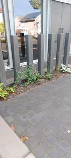 DOUGLAS PALEN 14X14CM, Doe-het-zelf en Verbouw, Hout en Planken, Ophalen, Nieuw, 50 mm of meer, Balk