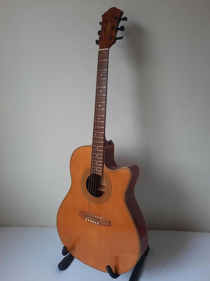 Ibanez AE 20 semi-akoestische westerngitaar Nwe snaren Hoes, Muziek en Instrumenten, Snaarinstrumenten | Gitaren | Akoestisch