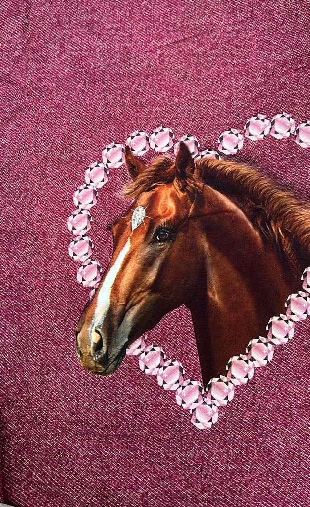 Horse french Terry paneel deel, Hobby en Vrije tijd, Stoffen en Lappen, Zo goed als nieuw, Katoen, 120 cm of meer, 30 tot 200 cm