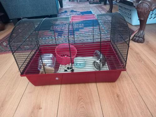 Hamsterkooi, Dieren en Toebehoren, Knaagdieren en Konijnen | Hokken en Kooien, Zo goed als nieuw, Kooi, Minder dan 60 cm, Minder dan 75 cm