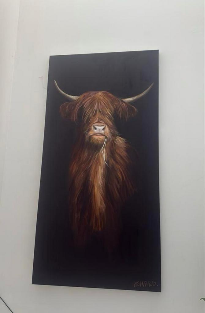 Schilderij Schotse Hooglander, Antiek en Kunst, Kunst | Schilderijen | Klassiek, Ophalen