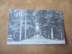 HAARLEM  >  DEN HOUT 1923, Verzamelen, Verzenden, 1920 tot 1940, Gelopen, Noord-Holland