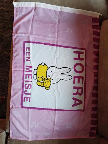 Geboorte vlag voor een meisje beschikbaar voor biedingen