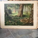 Oude schoolplaat: in het bos, Ophalen, Geschiedenis