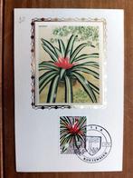 Belgie, 3 x briefkaart gestempeld Kortenberg, Postzegels en Munten, Verzenden, Briefkaart