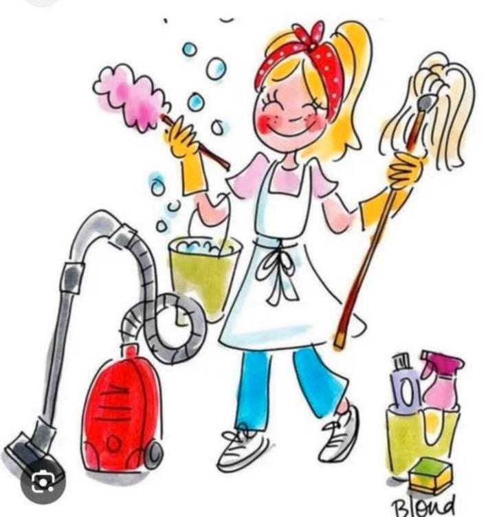 Huishoudelijke Hulp Aangeboden, Vacatures, Vacatures | Schoonmaak en Facilitaire diensten, Vanaf 10 jaar, Overige vormen, 33 - 40 uur