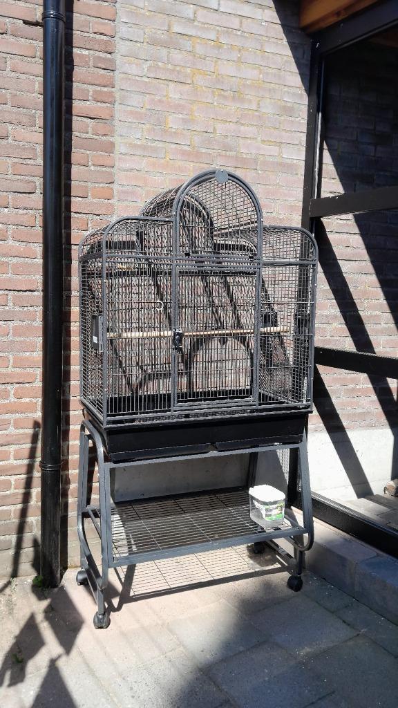 Papegaaienkooi, vogelkooi, Ruime kooi voor vogel Nieuwstaat!, Dieren en Toebehoren, Vogels | Hokken en Kooien, Zo goed als nieuw