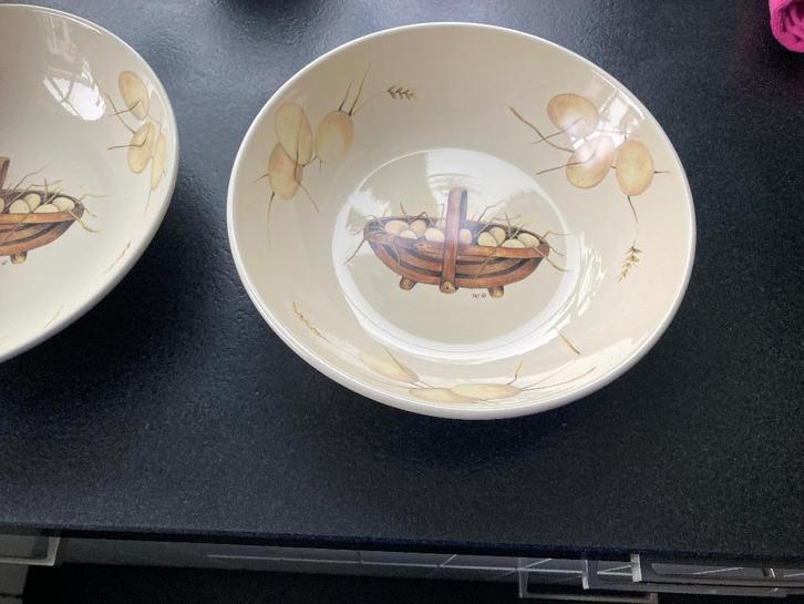 JET CHICKEN FESTIVAL SCHAAL 28 CM, Huis en Inrichting, Keuken | Servies, Zo goed als nieuw, Schaal of Schalen, Overige stijlen