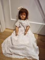 Zeer vroege schildpadpop, Ophalen of Verzenden