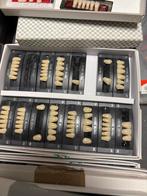 Tandtechniek tanden en kiezen voor protheses, Diversen, Braces, Ophalen of Verzenden, Zo goed als nieuw