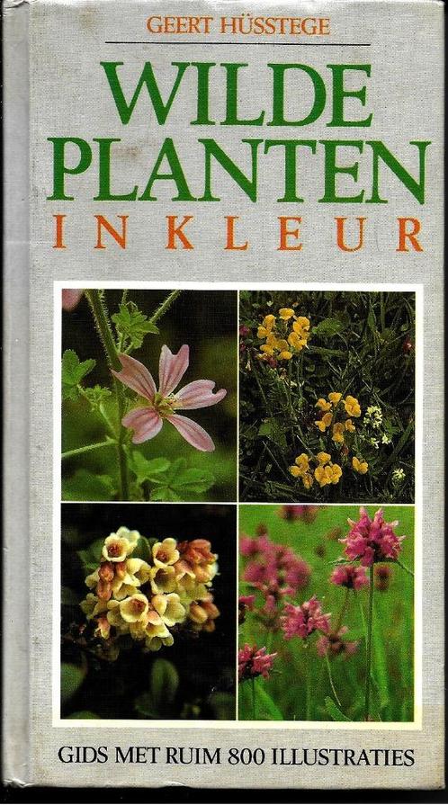 Wilde planten in kleur - Geert Hüsstege, Boeken, Natuur, Zo goed als nieuw, Bloemen, Planten en Bomen, Ophalen of Verzenden