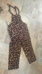 Tijger kleding, Kleding | Dames, Carnavalskleding en Feestkleding, Ophalen of Verzenden, Zo goed als nieuw, Maat 38/40 (M)