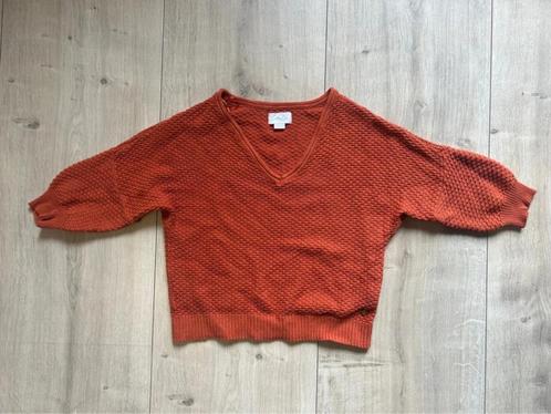 Cotton club trui - Maat: S, Kleding | Dames, Truien en Vesten, Zo goed als nieuw, Maat 36 (S), Oranje, Ophalen of Verzenden