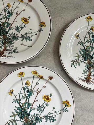 borden botanica villeroy & boch beschikbaar voor biedingen