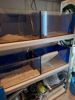 Aquaria in stelling, Dieren en Toebehoren, Vissen | Aquaria en Toebehoren, Ophalen, Zo goed als nieuw