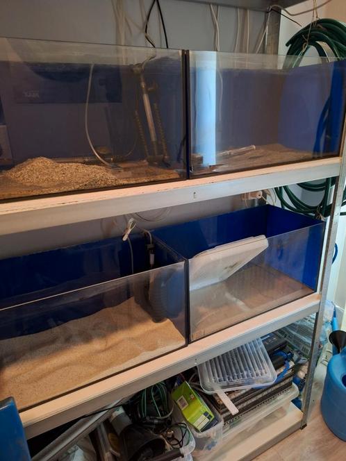Aquaria in stelling, Dieren en Toebehoren, Vissen | Aquaria en Toebehoren, Zo goed als nieuw, Ophalen