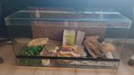 Terrarium met benodigheden 100x50x50, Ophalen, Zo goed als nieuw, Terrarium of Paludarium