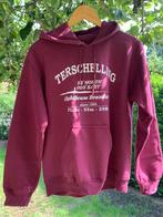 Terschelling sweater, bordeaurood, maat s, Ophalen of Verzenden, Zo goed als nieuw, Rood