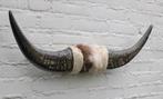 Texas style BULLBAR- 73 cm - afgewerkt met koeienvel en touw, Ophalen of Verzenden, Nieuw, Boerderijdier, Gewei of Kop