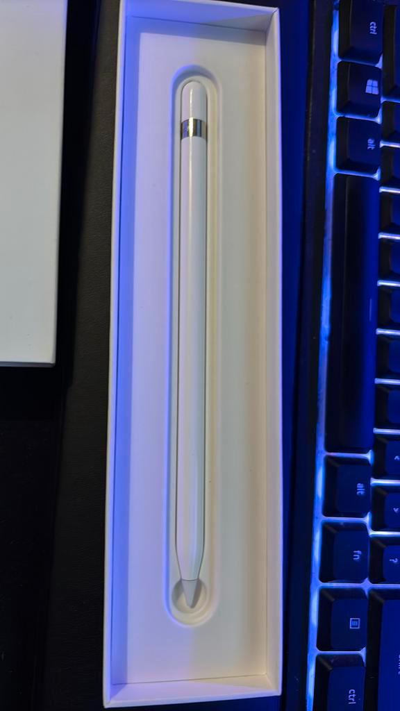 Apple Pencil, Computers en Software, Apple iPads, Gebruikt, Apple iPad, Wit, Ophalen of Verzenden