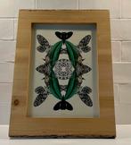 Botanical Artwork in Lijst (gemaakt door HvdPol), Minder dan 50 cm, Oorspronkelijke maker, Ophalen of Verzenden, Minder dan 50 cm