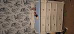 Leuke comode, Ophalen, Gebruikt, Jongetje of Meisje