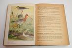 De Klassieker van Jac. P. Thijsse — Het Vogelboekje [1946], Boeken, Ophalen of Verzenden, Gelezen, Vogels