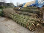 Wilgentenen., Tuin en Terras, Schuttingen, Ophalen, Nieuw, Hout, 3 tot 6 meter
