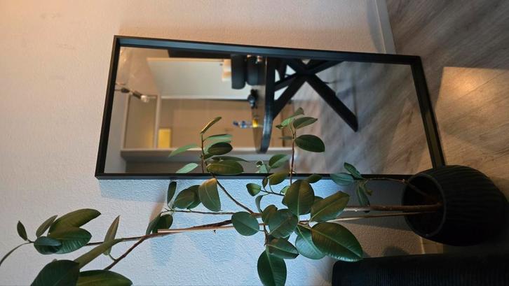 2 NISSEDAL SPIEGELS IKEA, Huis en Inrichting, Woonaccessoires | Spiegels, Zo goed als nieuw, 50 tot 75 cm, 150 tot 200 cm, Rechthoekig