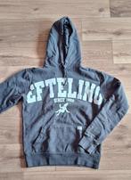 Efteling trui, Kleding | Dames, Truien en Vesten, Verzenden, Zo goed als nieuw, Maat 34 (XS) of kleiner, Grijs