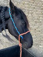 Halster voor paarden, Nieuw, Overige soorten, Ophalen of Verzenden