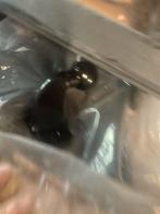 Nieuwe Trekhaakset Expert/Jumpy/Proace, Ophalen of Verzenden, Nieuw