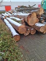 Zaagstammen eik 3 tot 6 meter,, 6 m³ of meer, Ophalen of Verzenden, Eikenhout, Stammen
