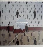 CD Racoon - Liverpool rain, 2000 tot heden, Zo goed als nieuw, Verzenden