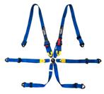 FIA 6P Racegordels nu al vanaf €89, Ophalen of Verzenden, Nieuw