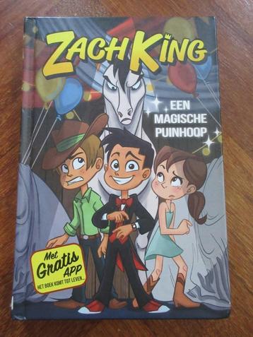 Zach King Een magische puinhoop beschikbaar voor biedingen