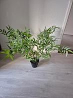 Kunst Bamboe Plant, Huis en Inrichting, Woonaccessoires | Kunstplanten en Kunstbloemen, Ophalen of Verzenden, Zo goed als nieuw
