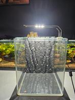 Nano cube 20L aquarium / betta / garnalen, Dieren en Toebehoren, Vissen | Aquaria en Toebehoren, Ophalen of Verzenden, Zo goed als nieuw